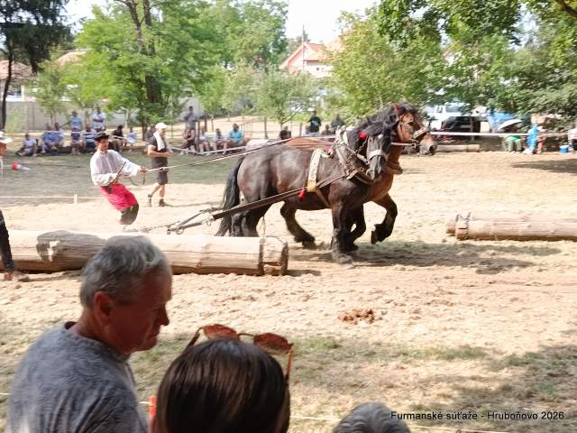 IMG_20260801_160127